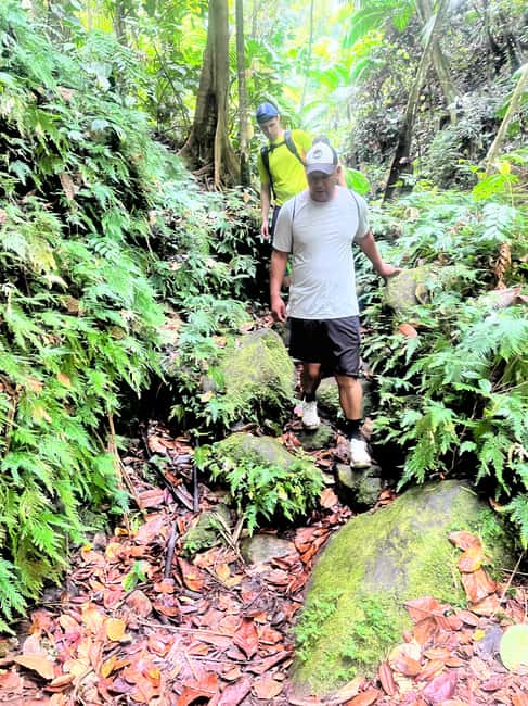 Nevis Waterfalls/Russel's Rest Hike - Practical advice for a smoother outing