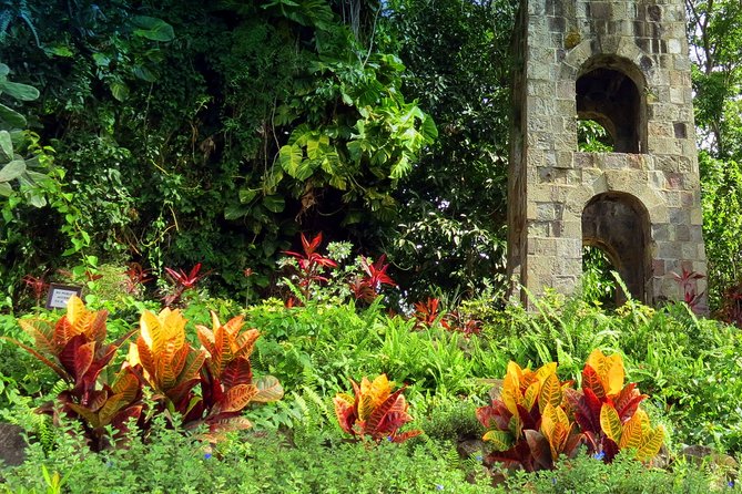 Panoramic Sightseeing Tour of St Kitts - What Two Hours Really Gives You