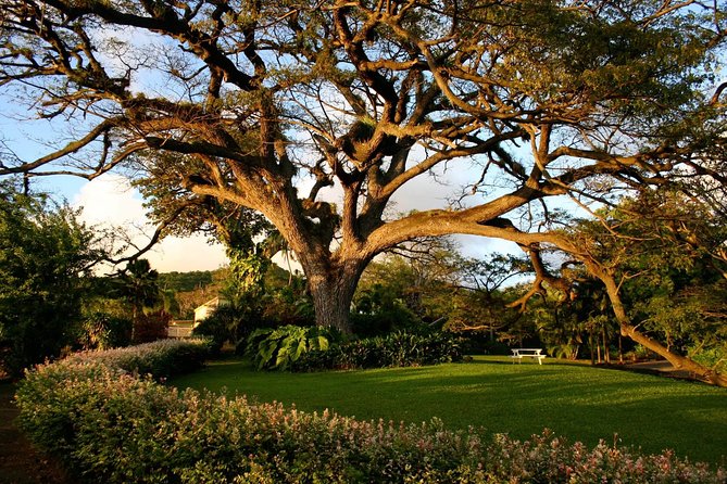 Panoramic Sightseeing Tour of St Kitts - Private Transport and Group Comfort