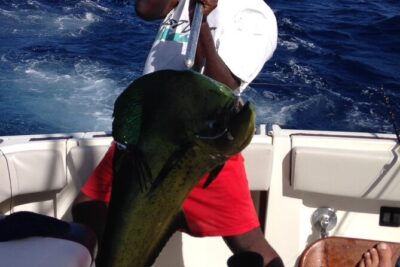 Private Fishing & Snorkel Charters in St Kitts and Nevis