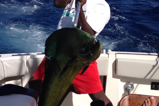Private Fishing & Snorkel Charters in St Kitts and Nevis - Local captains make the difference