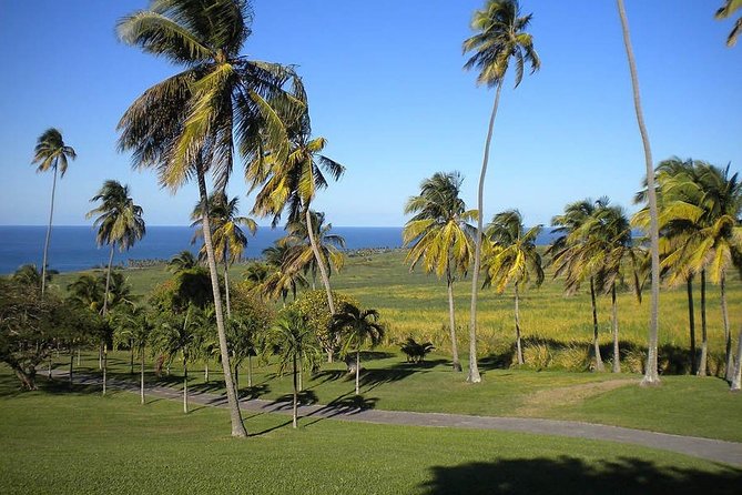 Private Tour in St. Kitts - Key Things to Know Before You Book
