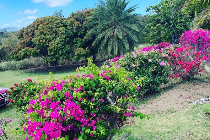 Private Tour in St. Kitts - Who Will Get the Most From This Tour?