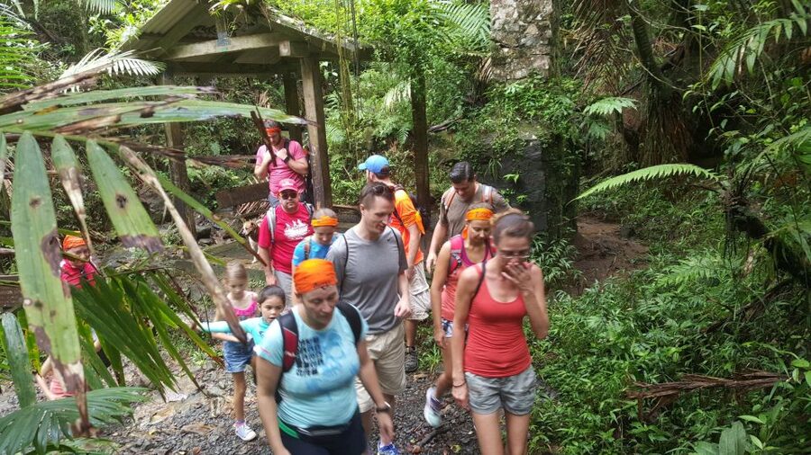 Rainforest Adventure - Key points to know before booking