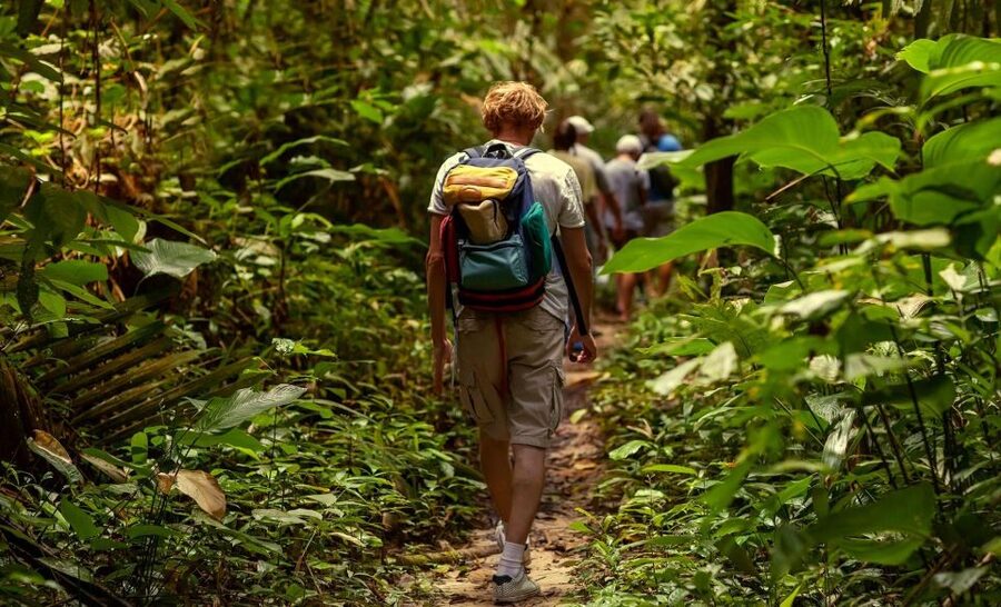 Rainforest Adventure - Why this three-hour outing works