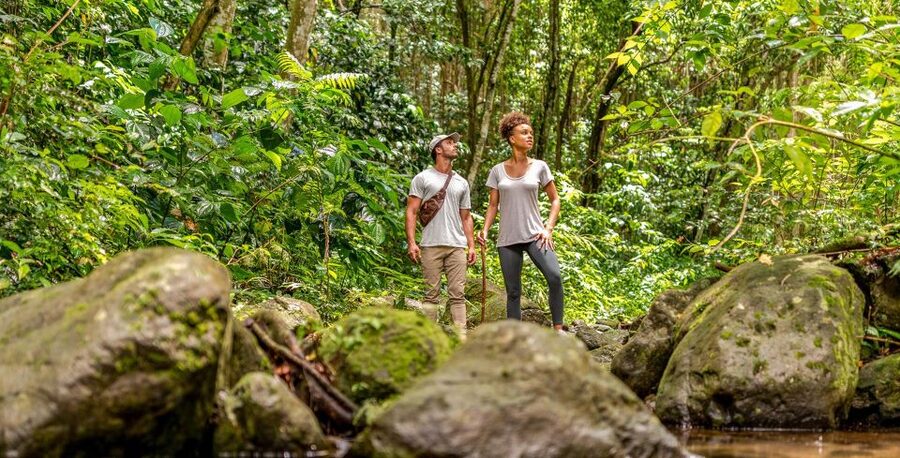 Rainforest Adventure - Old Road Town and the island’s sugar past