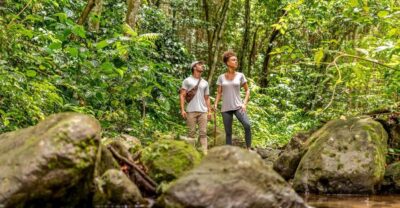 Rainforest Adventure