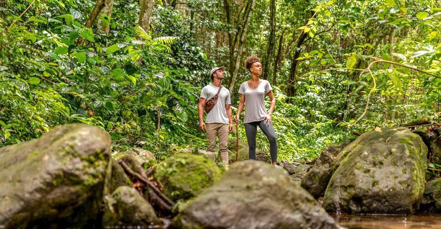Rainforest Adventure - The short drive from Port Zante or Frigate Bay