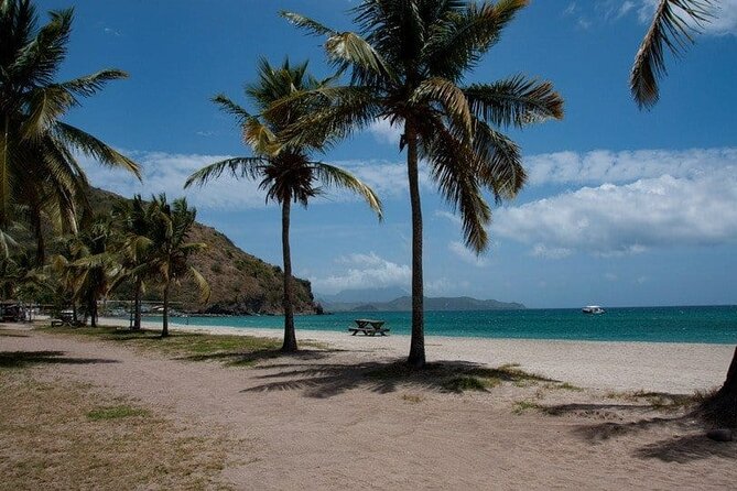 Scenic City Tour and Beach Escape - Basseterre Landmarks Before the Beach