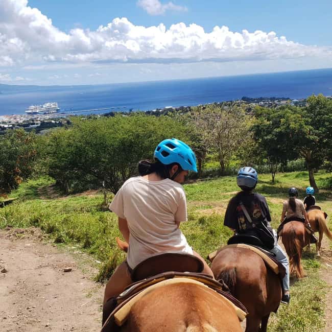 Scenic Horseback Trail - Riding into the hills above Basseterre