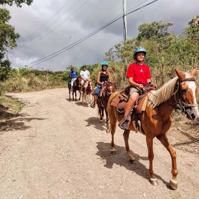 Scenic Horseback Trail - The walk to Sofa Stone and the big island views
