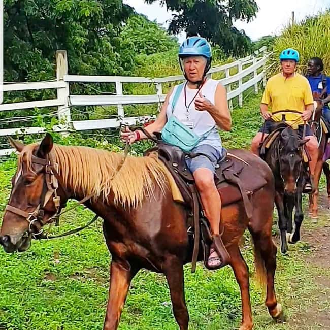 Scenic Horseback Trail - Is $110 a fair price?