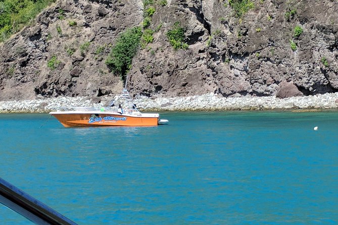 Scenic Speed-Boat Snorkel Tour - Is $80 a fair price?