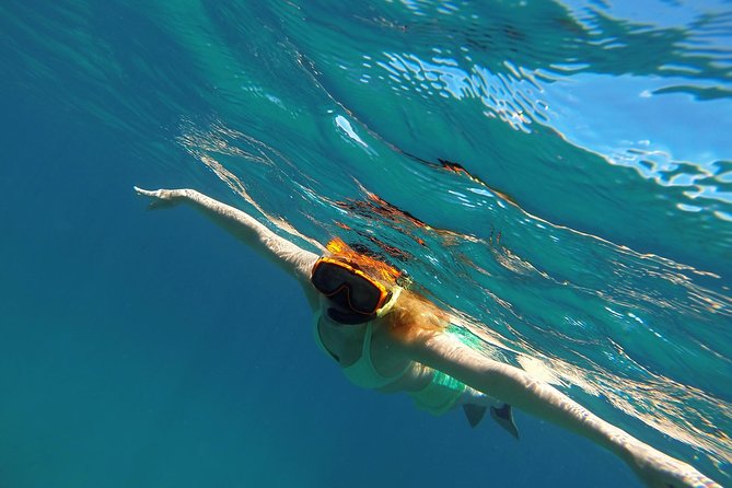 Scenic Speed-Boat Snorkel Tour - What makes Shitten Bay worth the trip
