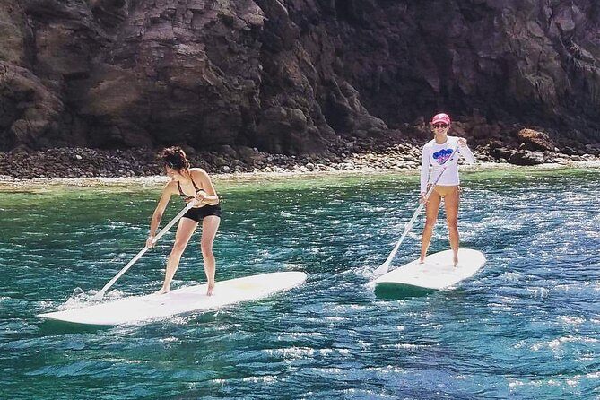 Scenic Stand-up Paddleboarding Adventure Tour - Looking for turtles, stingrays, and other sea life