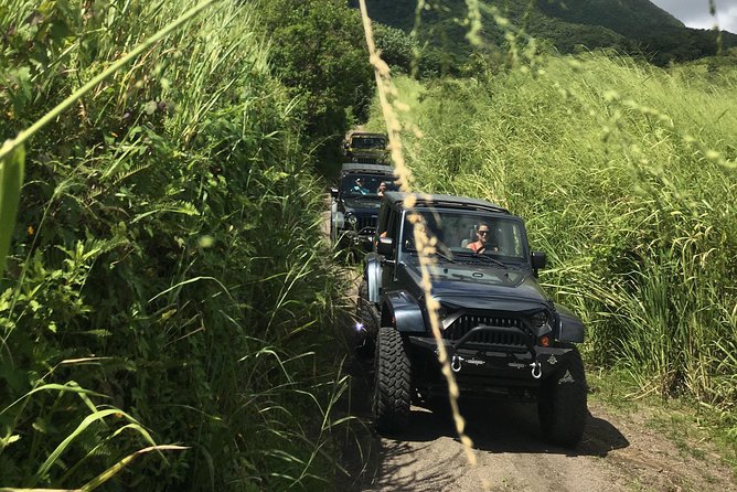 Self Drive 4x4 Off Road Jeep Wrangler & Beach Chill - The quick take