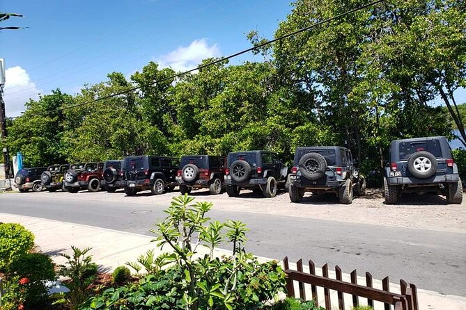 Self Drive 4x4 Off Road Jeep Wrangler & Beach Chill - Wildlife, fruit, and local stories