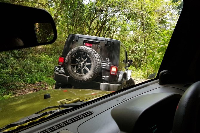 Self Drive 4x4 Off Road Jeep Wrangler & Beach Chill - Who will enjoy this most?