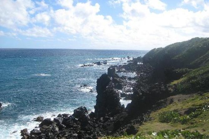 St Kitts 360 Island Sightseeing Tour - Walking the rainforest river trail