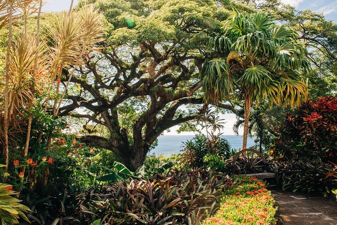 St. Kitts Full Island Excursion - Timothy Hill: the best opening view