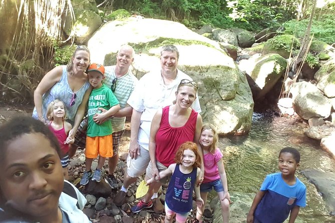 St Kitts Half-Day Rainforest Tour - Wildlife sightings: keep your eyes open