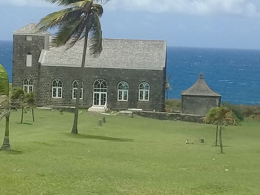 St. Kitts Island Half-Day Bus Tour - How the Experience Compares With Other St. Kitts Options