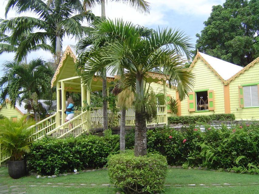 St. Kitts Island Half-Day Bus Tour - Why This Makes Sense as a First St. Kitts Tour