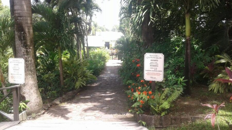 St. Kitts Island Half-Day Bus Tour - Brimstone Hill Fortress and St. Kitts’ Difficult Past