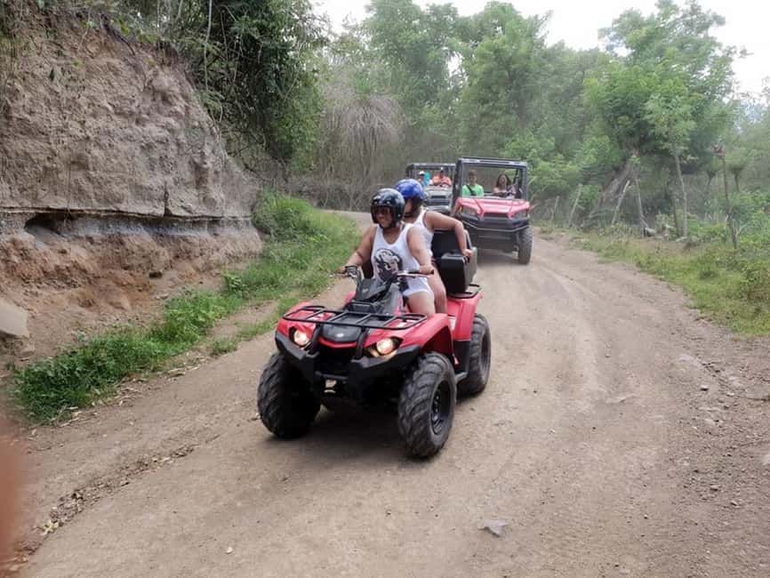St. Kitts: Jungle Bikes ATV and Beach Guided Tour - Jungle plants, animals, and rolling hills