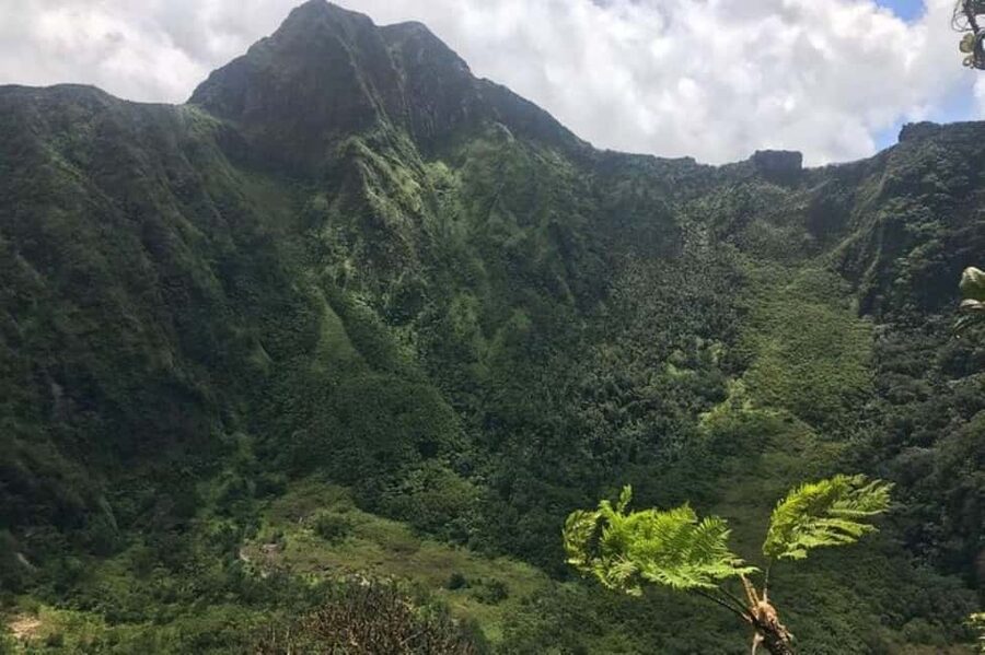 St Kitts: Jungle Bikes Off-Road ATV Tour - Key points to know before you book