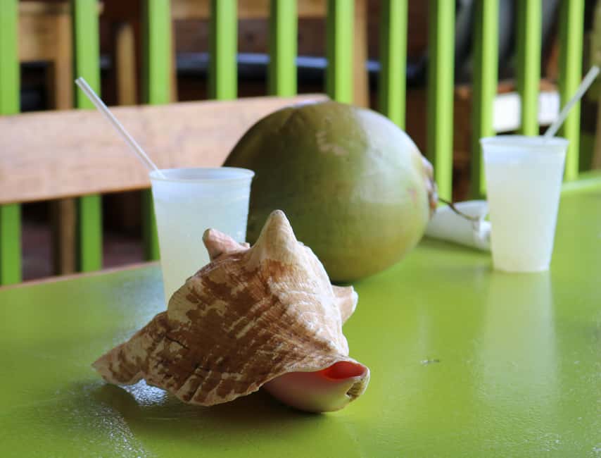 St. Kitts: Nevis Island Tour and Beach Time with Lunch - Charlestown, Hamilton House, and the island story