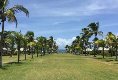 Nevis Island Tour and Beach Time with Lunch