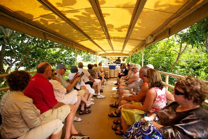 St Kitts Scenic Train Tour (Hotel or Ship) - The coach ride gives you the island’s useful introduction