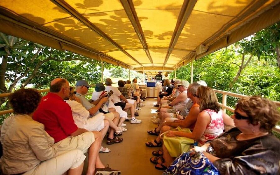 St. Kitts : Sugar Train with Pick Up & Drop-Off & Drinks - Key points at a glance