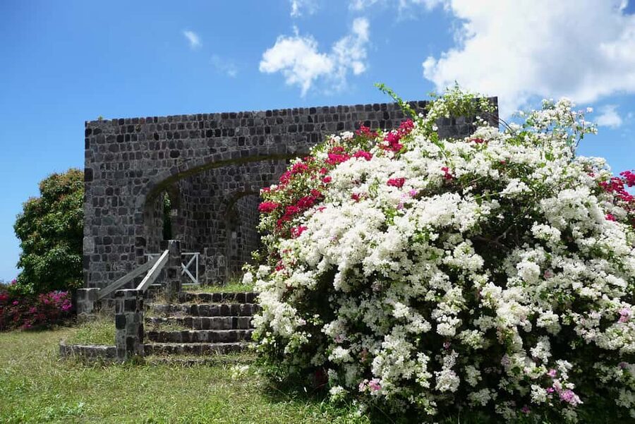 St. Kitts: Top Sights Guided Van or Open-Air Safari Tour - A quick island overview from Basseterre