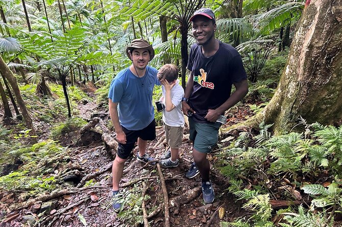 St.Kitts Volcano Hike To Mt. Liamuiga (Highest Peak On Island) - The crater viewpoints and the payoff above the trees