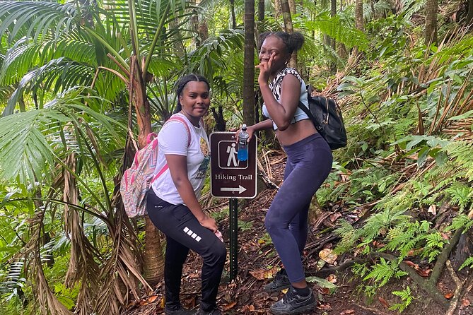 St.Kitts Volcano Hike To Mt. Liamuiga (Highest Peak On Island) - The descent is not an easy afterthought