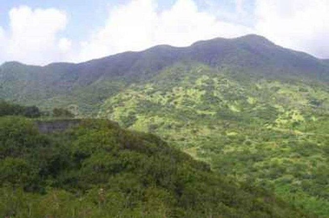 St Kitts Volcano Hiking and Sightseeing Excursion - What the Mount Liamuiga day is really like