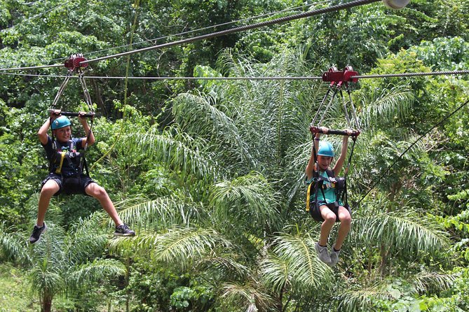 St. Kitts Zipline Experience - Five Lines, High Valley Views, and a Final Race