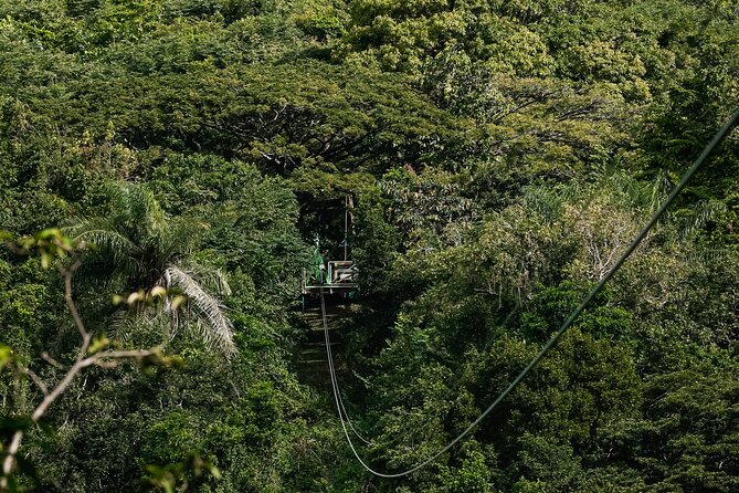 St. Kitts Zipline Experience - Line One: Getting Comfortable in the Harness