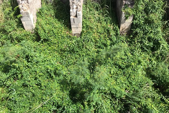 The Brimstone Hill Fortress Hike - Why Brimstone Hill matters