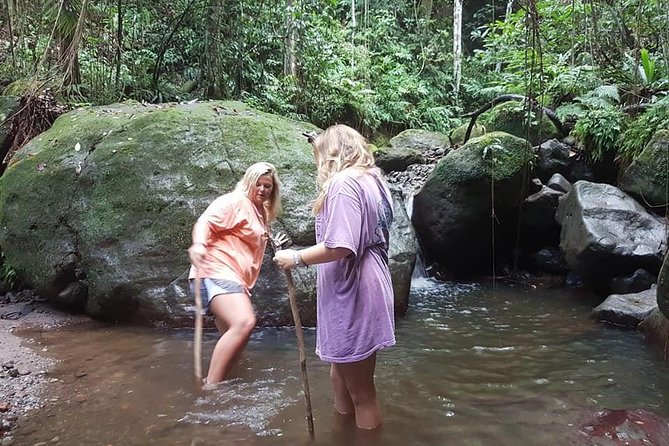 Tropical Rain Forest Explorer Hike In St. Kitts - Starting in Old Road Town