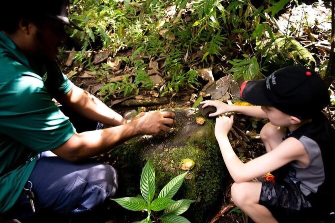 Tropical Rain Forest Explorer Hike In St. Kitts - Who will enjoy this St Kitts hike most