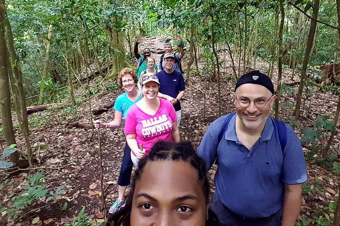 Tropical Rain Forest Explorer Hike In St. Kitts - Walking beneath St Kitts’ rainforest canopy
