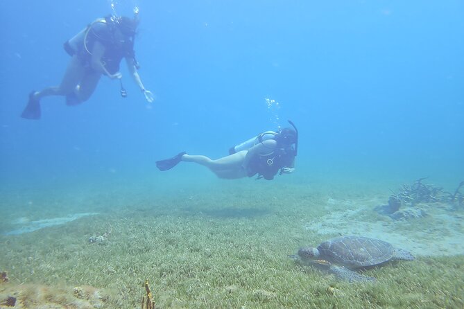 VIP Private Guided Scuba Diving/Snorkeling Excursion - Snorkeling for a relaxed look below the surface