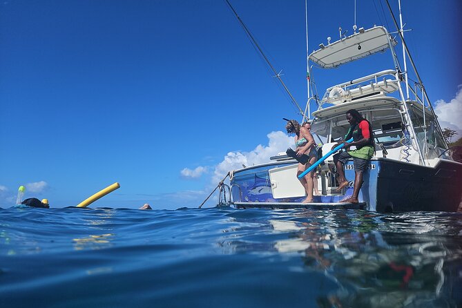 VIP Private Guided Scuba Diving/Snorkeling Excursion - Why private service changes the experience