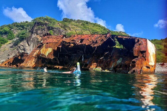 VIP Private Guided Scuba Diving/Snorkeling Excursion - Pickup from St. Kitts, Nevis, and the cruise port