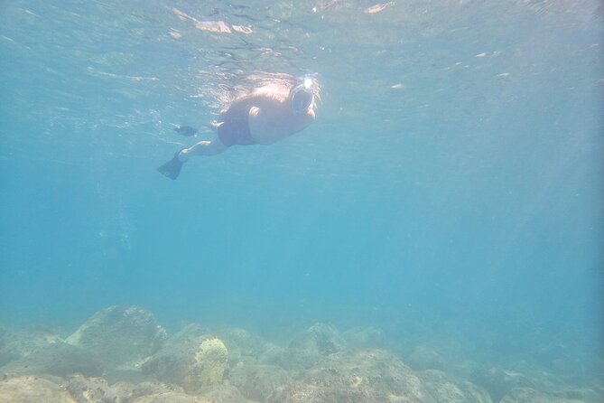 VIP Private Guided Scuba Diving/Snorkeling Excursion - What the $600 price really buys