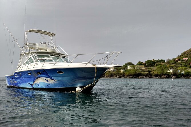 VIP Private Guided Scuba Diving/Snorkeling Excursion - Who will enjoy this St. Kitts boat trip most
