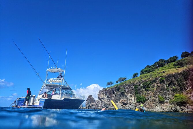 VIP Private Guided Scuba Diving/Snorkeling Excursion - Scuba options for certified guests and beginners